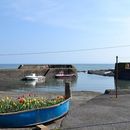 Harbour View Villa Johnshaven Exterior foto
